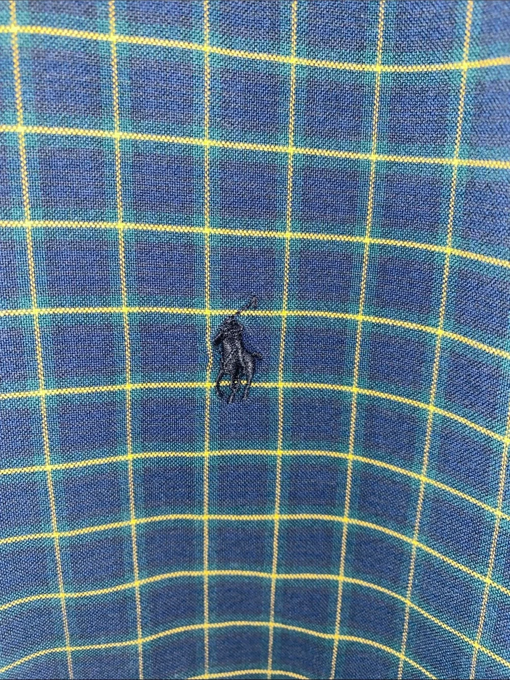 Polo by Ralph Lauren Navy Shirt with Yellow Windowpane Check